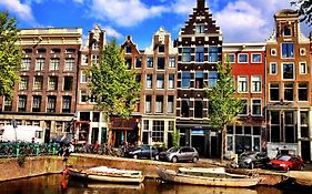 Tulip Of Amsterdam